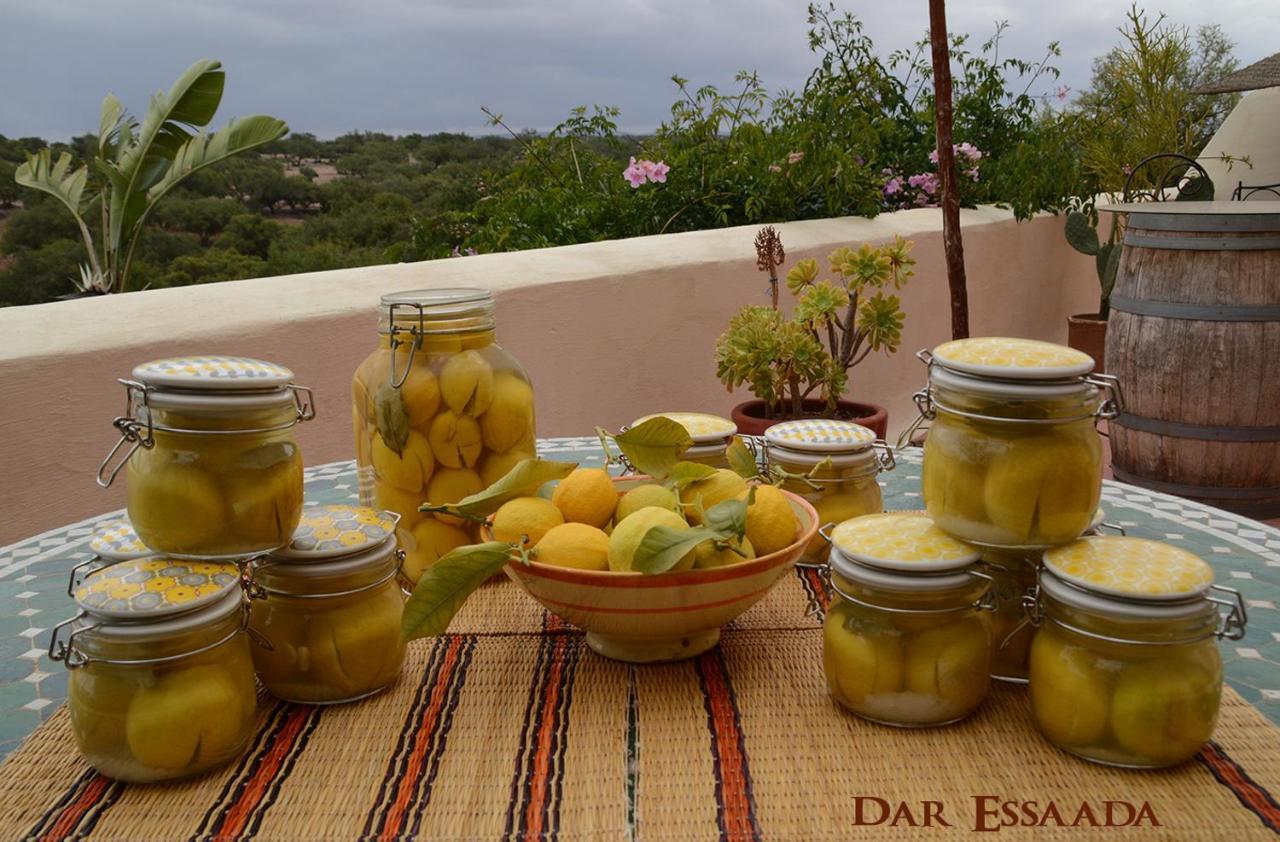 Dar Essaada Hotell Essaouira Eksteriør bilde